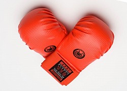 Sparring Gloves - assorted styles 35 Euros