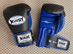 Boxing Gloves - Windy, 14oz or 16oz - 70 Euros